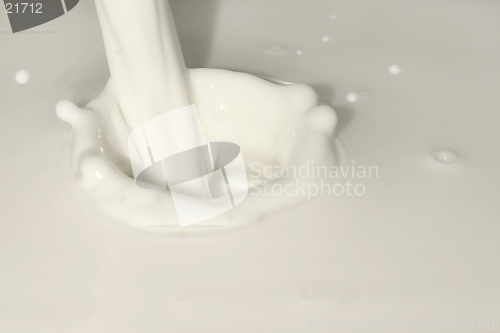 Image of Creamy White Splash