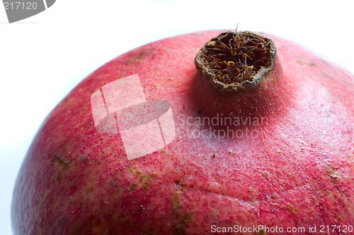 Image of Pomegranate