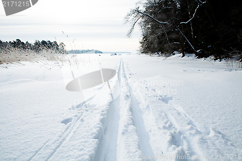 Image of Skiing tracks in snow