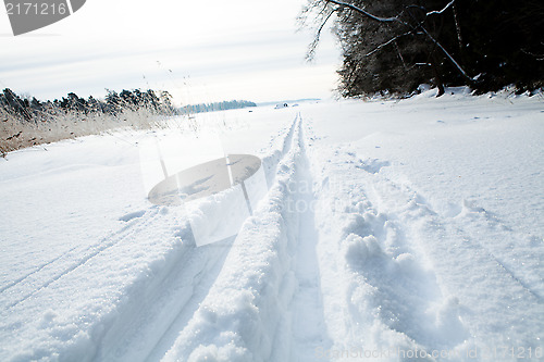 Image of Skiing tracks in snow