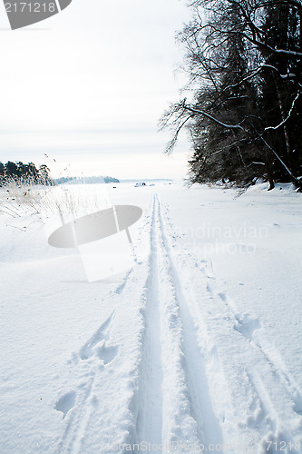 Image of Skiing tracks in snow