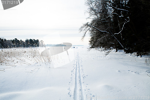 Image of Skiing tracks in snow