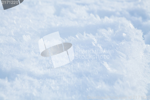 Image of Icy snow background