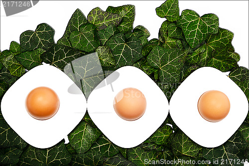 Image of A series of three eggs and egg cups on a green background