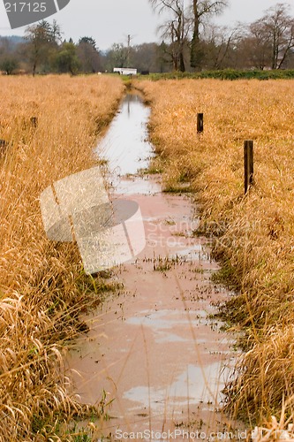 Image of Small Canal, Brownsmead, Oregon