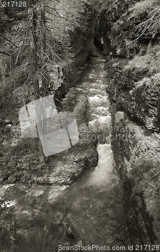 Image of Stream,  Glacier National Park