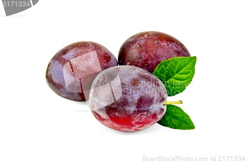 Image of Plum red with leaves