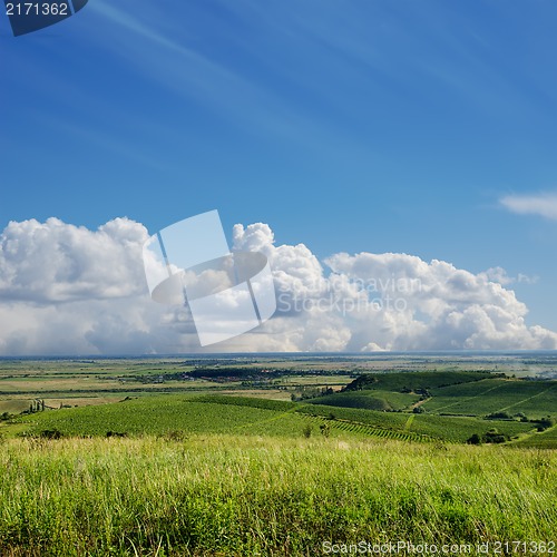 Image of view to vineyard