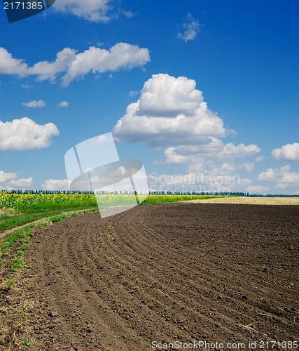 Image of ploughed field