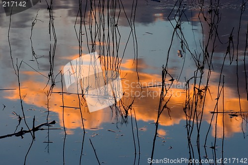 Image of Water Abstract 14