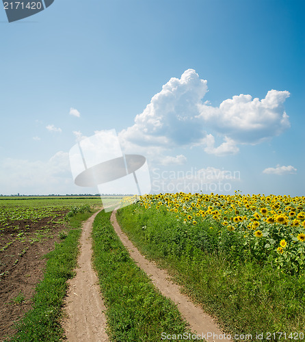 Image of Road in field under clouds