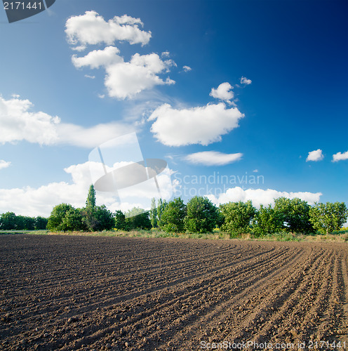 Image of ploughed field