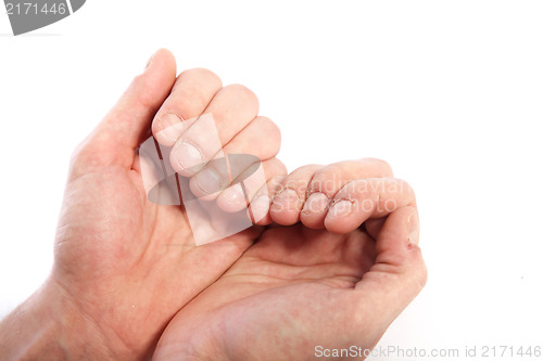 Image of Human hands