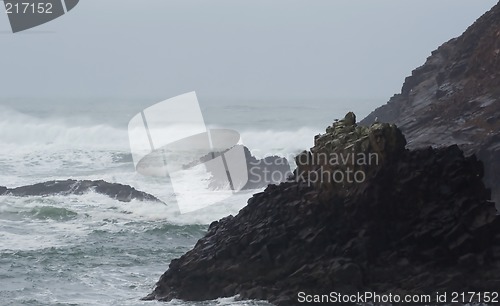 Image of Indian Beach, Winter 2