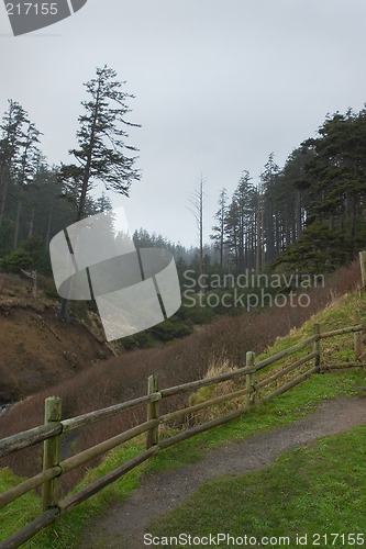 Image of Trail to Indian Beach, Winter