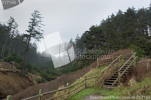 Image of Path to Indian Beach, Winter 2