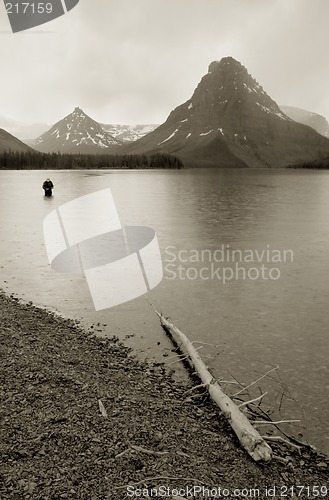 Image of Fly Fisherman, Glacier National Park