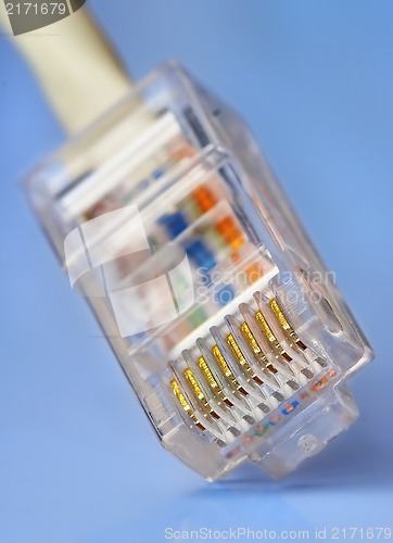 Image of Cable of a network cat5 on a blue background 