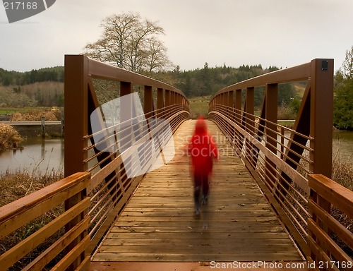 Image of Walking Bridge 6