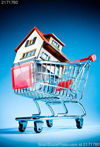 Image of shopping cart and house