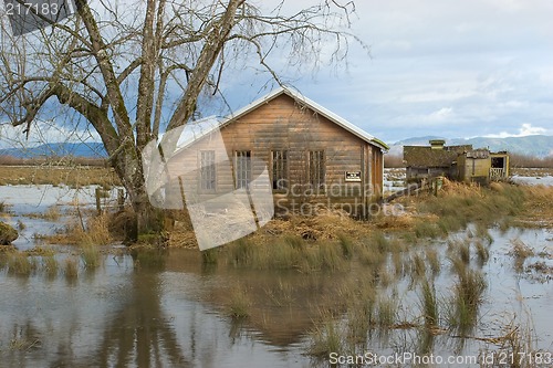 Image of Flood, Svensen Island 3