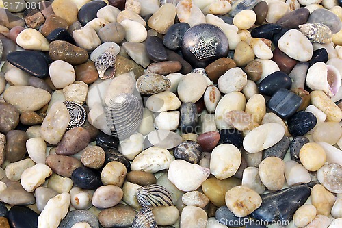 Image of Sea Pebble