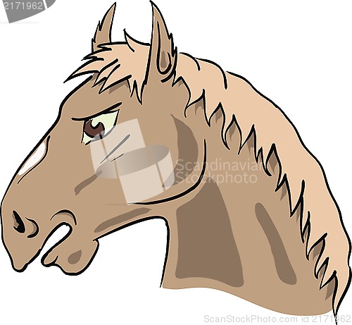 Image of horse's head