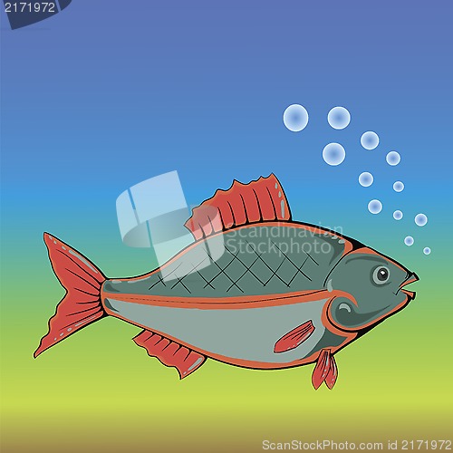 Image of fish