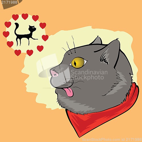 Image of cat lover