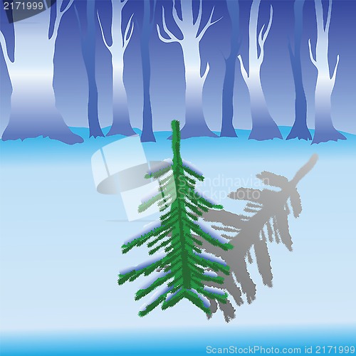Image of green fir