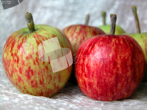 Image of apples