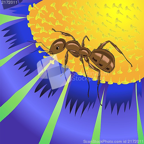 Image of ant and flower