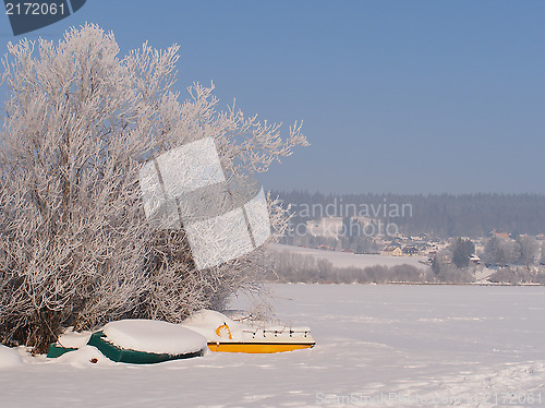 Image of Frozen boats and tree, Saint Point lake, Jura, France
