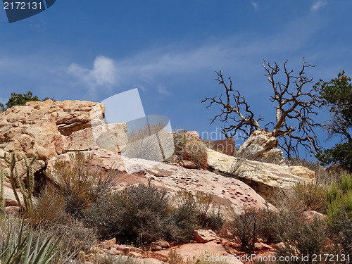 Image of Hike through Red Rock Canyon