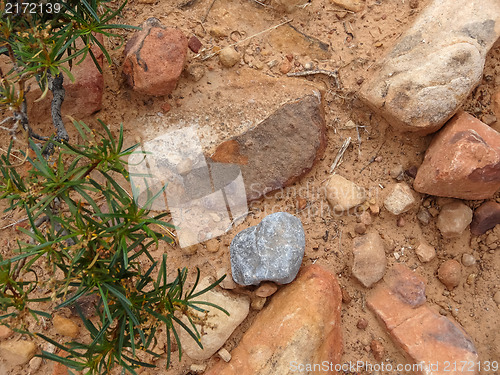 Image of Hike through Red Rock Canyon