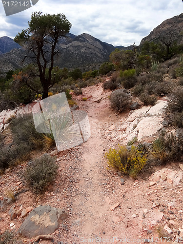 Image of Hike through Red Rock Canyon