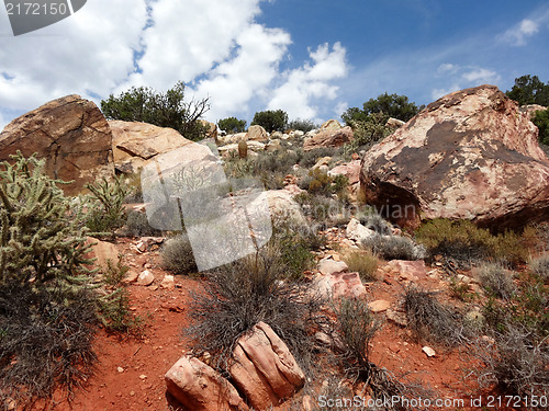 Image of Hike through Red Rock Canyon