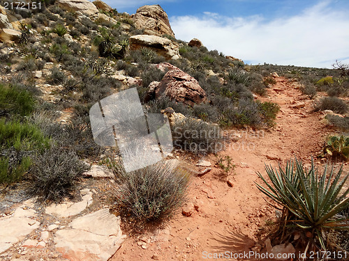 Image of Hike through Red Rock Canyon