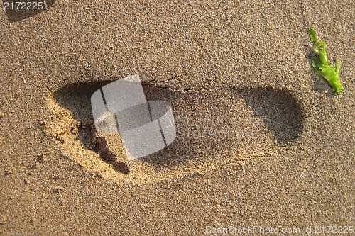 Image of foot print in the sand