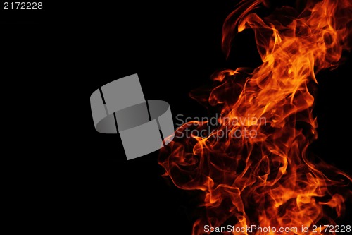 Image of fire background in the night