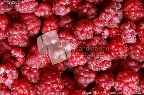 Image of raspberries background