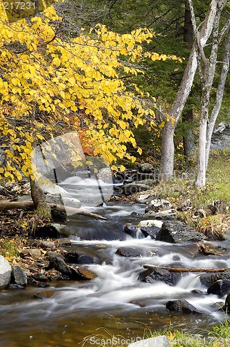 Image of Fall Stream