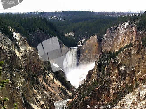 Image of Yellowstone Falls