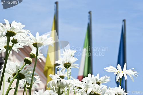 Image of Daisies with sky and flags in the background