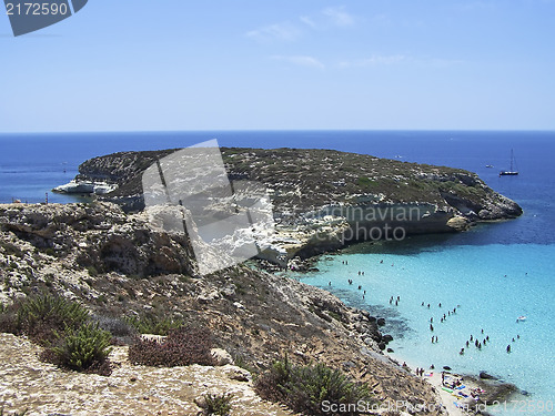 Image of Island of rabbits, in Lampedusa - Sicily