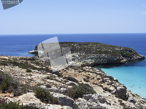 Image of Island of rabbits, in Lampedusa - Sicily