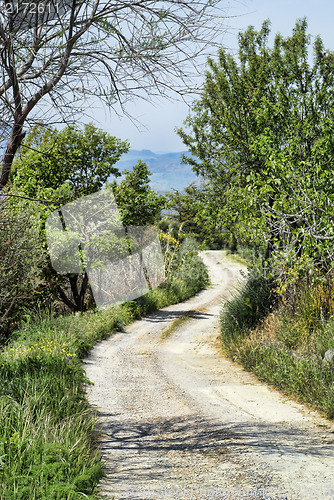 Image of Sicilian country road