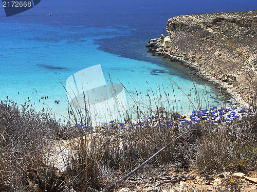 Image of Island of rabbits, in Lampedusa - Sicily