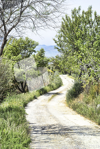 Image of Sicilian country road