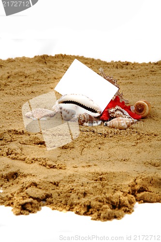 Image of white paper on the beach with the shells